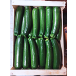 Zucchini   (Marrap - Zucchine Piccole) ca 5  kg/krt