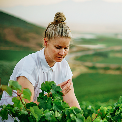 Wolf and Women Wines