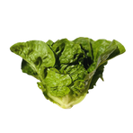 Romansallad Mini 15st/hel låda