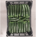 Zucchini/Zucchine Små/Piccole ca 5 kg/krt