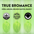 Benchwarmers x Subbe x Nyköping  - True Bromance 2025 (Burk 330 ml)