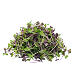 Microgrönt mild blandning 50g