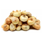Cippolline/Lök Borretane ej skalad 5kg/krt, Marrap