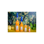 Crema Liquore Melone 50 cl. 15%