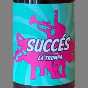 Succés Vinícola - Patxanga 23 20L KeyKeg