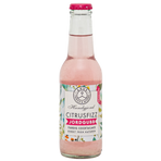 Jordgubbsfizz 20cl x 24st