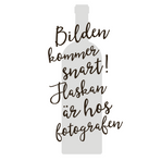 Birichino Semillon