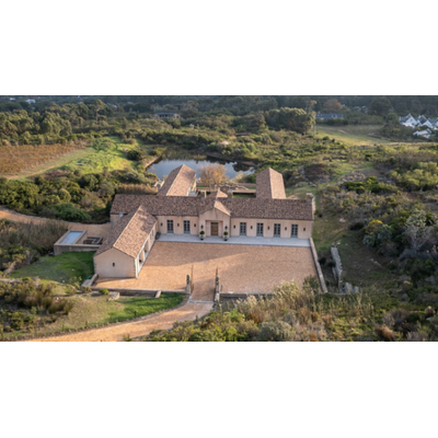 Cape point Vineyards