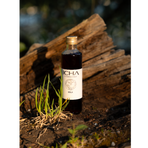 Kola (eko)