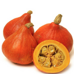 Pumpa/Zucche Hokkaido