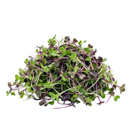 Microgrönt kryddig blandning 50g