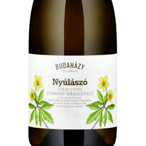 Nyulászó  (Söt)