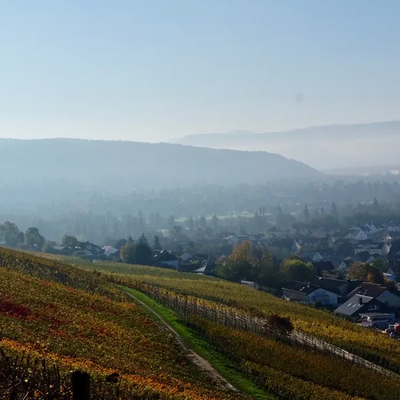 Weingut am Schlipf