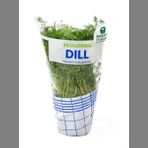 Dill