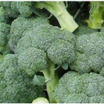 Broccoli Färsk ( Marrap ) ca 5 kg/krt.