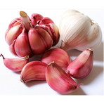 Vitlök Sulmona/Aglio rosso  ca 3 kg/krt