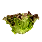 Sallad Batavia styckvis KRAV