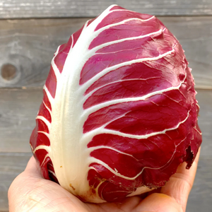Radicchio Tondo/Runt huvud 3kg/krt