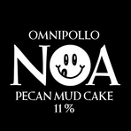 Noa Pecan Mud Cake Imperial Stout 11% (Fat 20L)