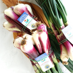 Ramslök 0,5 kg förp (Marrap - Aglio orsino)