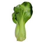 Pak Choi hel låda 7kg