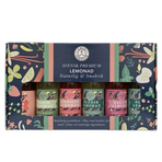 Presentbox Lemonad 6 flaskor