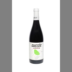 Succés Vinícola - Cuca de Llum 2020