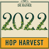 Hop Harvest 2022 5,5% 30 l Dolium (S)