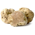 Tuber Magnatum / Vit tryffel Extra X, Toscana ( Stefania Calugi )