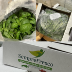 Basilica Färsk, 1kg ( Marrap )