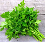 Persilja/Prezzemolo 5kg/krt