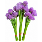 Trädgår’n, Gräslöksblommor 15 st/knippe