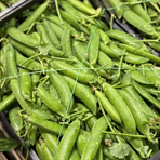 Piselli/Gröna ärtor ca 6kg/krt