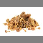 Trattkantareller 3kg