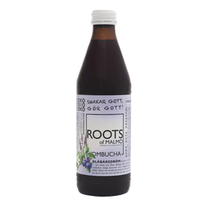 Kombucha Blåbärsdröm