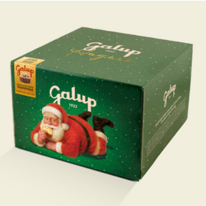 CHE55  Panettone Gran Galup Tradizionale, 500G