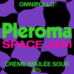 Pleroma Space Jam Creme Brulée Sour 6% (Fat 20L)