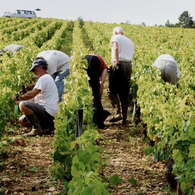 Domaine Philippe et Arnould Dubreuil