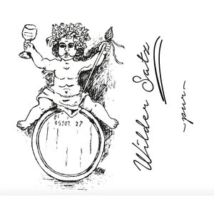 Weingut Brand - Wilder Satz White 2023 EKO