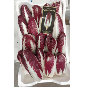 Treviso chicoria/Radicchio  långt huvud  ca 3 kg