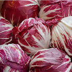 Bv. Radicchio Tondo (Marrap) 3kg/krt