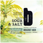 Sour & Salt 4,6% 20 l KeyKeg EKO