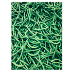 Haricot VERT (Marrap), ca 5kg/krt