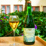 Darjeeling First Flush Sparkling Tea 750ml