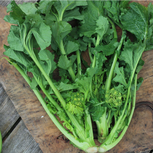 Cime di rapa ca 7,5 kg/krt