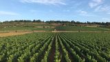 Domaine Leflaive