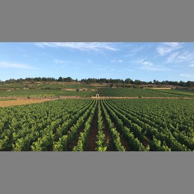 Domaine Leflaive