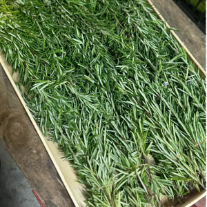 Rosmarin/Rosmarino, 10 knippen per/kt.ca 1Kg