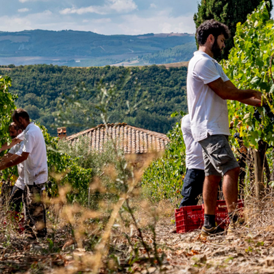 Tenuta del Buon Tempo