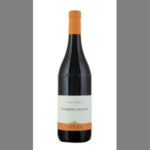 Barbera d'Alba Bricco Dei Merli